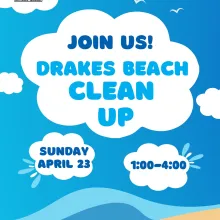 beach clean up poster 